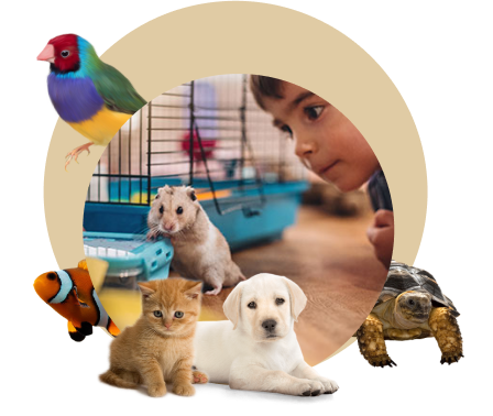 environnement Animalerie chez Truffaut